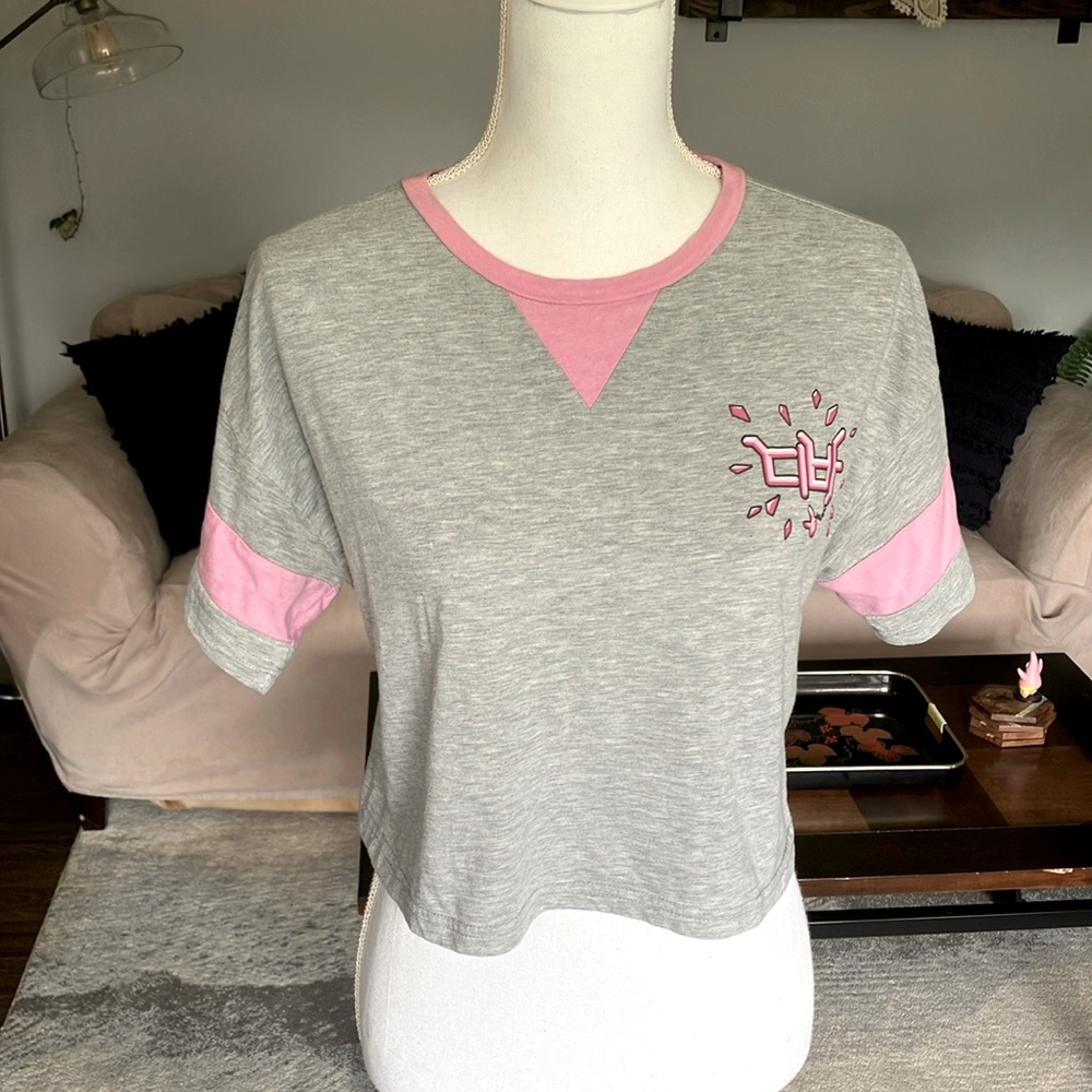 Overlook D.VA Gray and Pink Graphic Crop Top Size XS